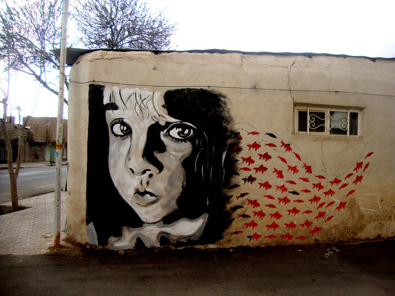graff-5